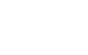 Boutique Homes Logo