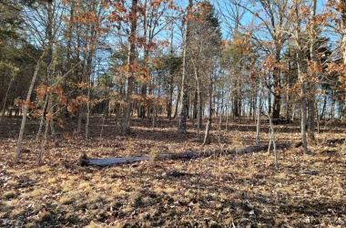 000 Lot 364 Clifty, Goreville, Illinois 62939, ,Lots,For Sale,Clifty,QC4219136