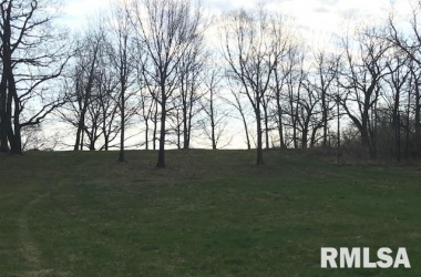 0 DEER TRACE, Morrison, Illinois 61270, ,Recreational Land,For Sale,DEER TRACE,QC4220340