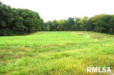 Lot 15 58TH, New Boston, Illinois 61272, ,Lots,For Sale,58TH,QC4194716