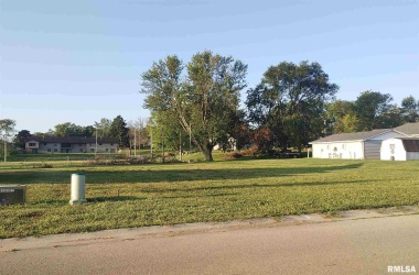 910 5TH, Fulton, Illinois 61252, ,Lots,For Sale,5TH,QC4214783